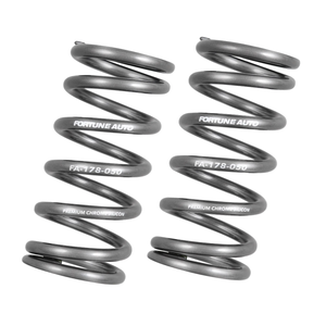 Ftune Spring Coilovers – Fortune Auto
