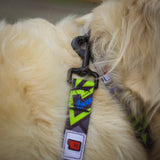 Fortune Auto Dog Leash/Collar