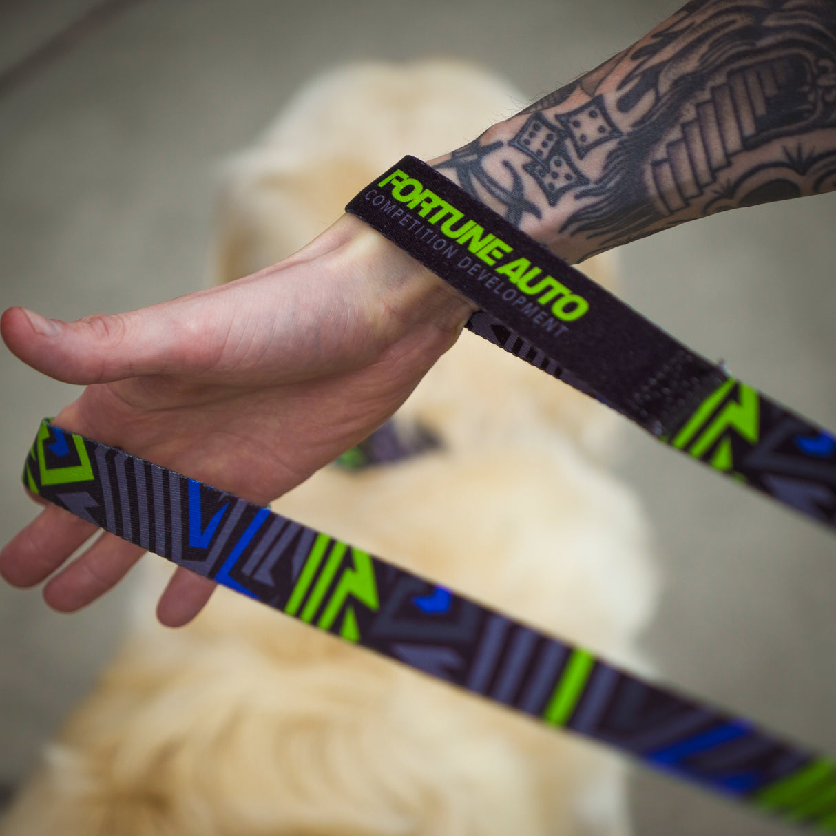 Fortune Auto Dog Leash/Collar