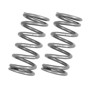 Fortune Auto Premium Chrome Silicon Springs
